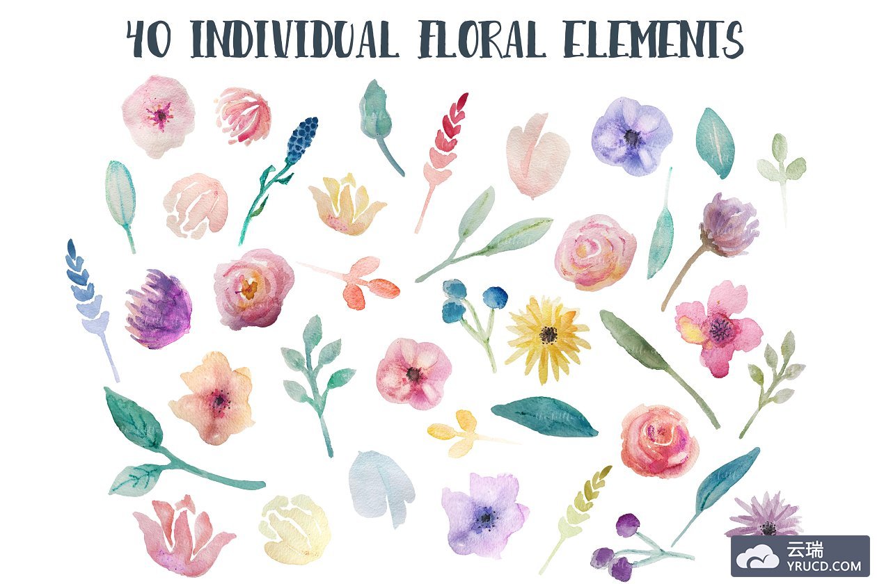 单独的水彩花卉素材 Watercolor flowers clipart