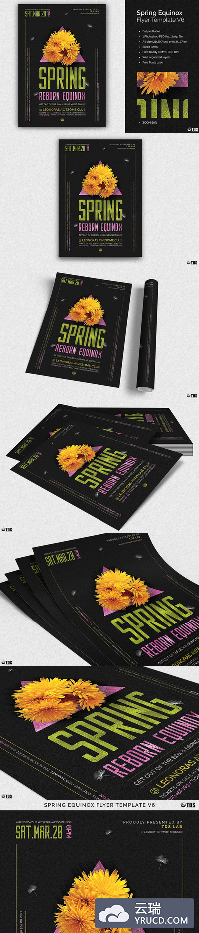 春分主题海报 Spring Equinox Flyer PSD V6