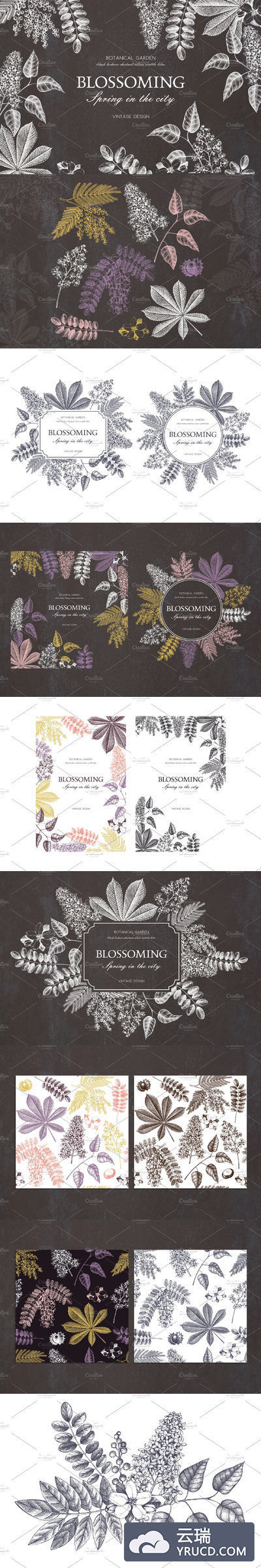 春季黑白素材合集 Vector Spring Trees Collection