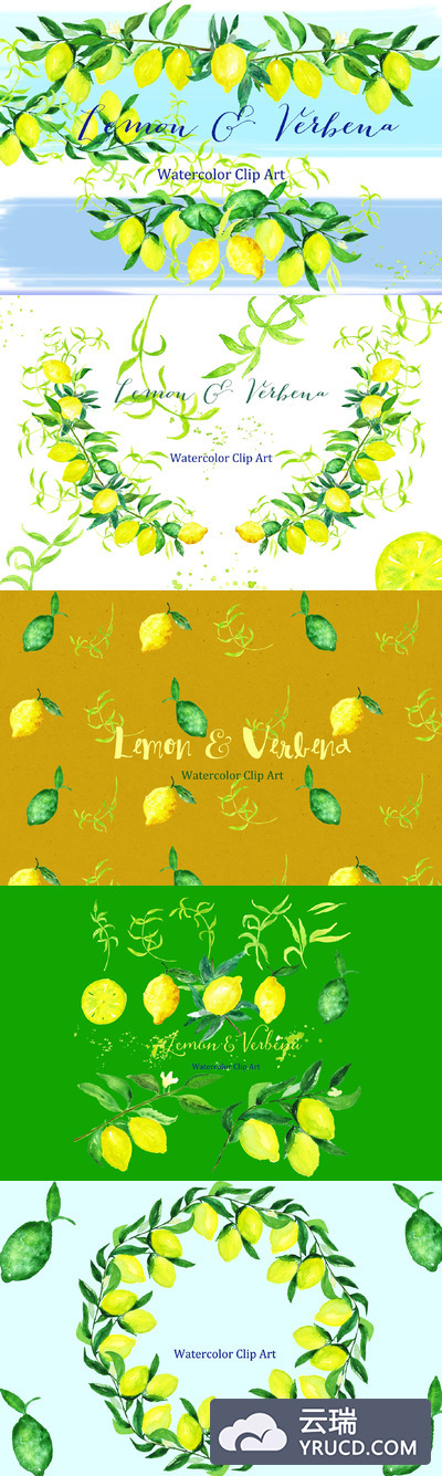 柠檬水彩图形素材 Lemon & verbena. watercolors