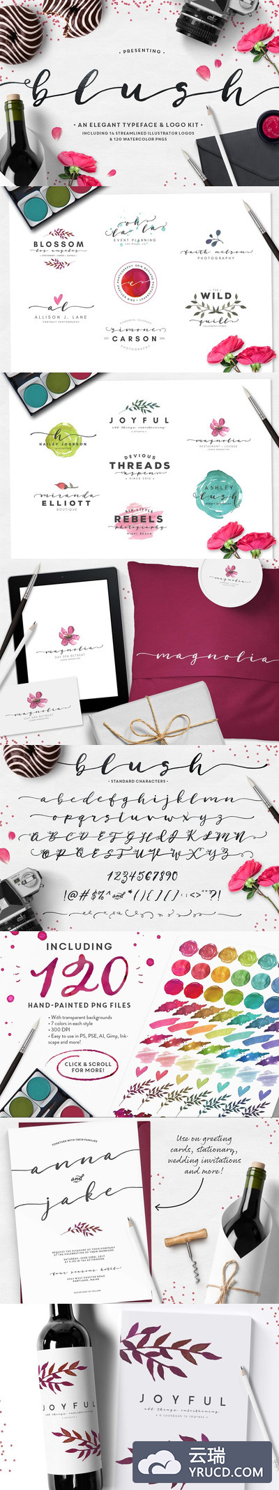 狂草的字体效果 Blush Typeface + Logo Kit (AI)