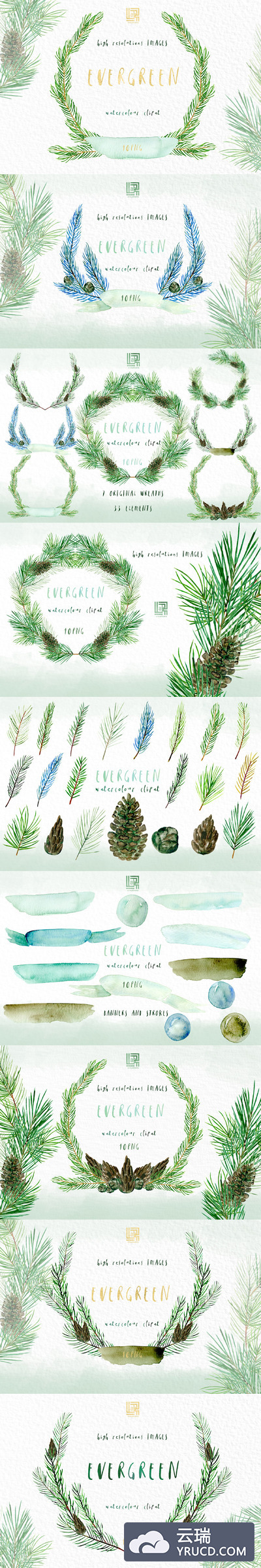 水彩插画素材 Pine. Watercolor clipart