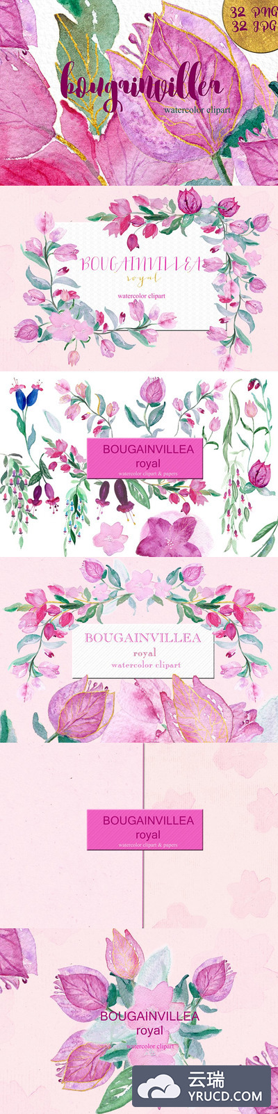 九重葛和紫红色的水彩画素材 Bougainvillea & fuchsia watercolor