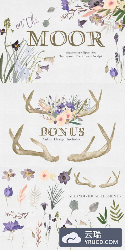 水彩花卉植物 On the Moor Watercolor Florals