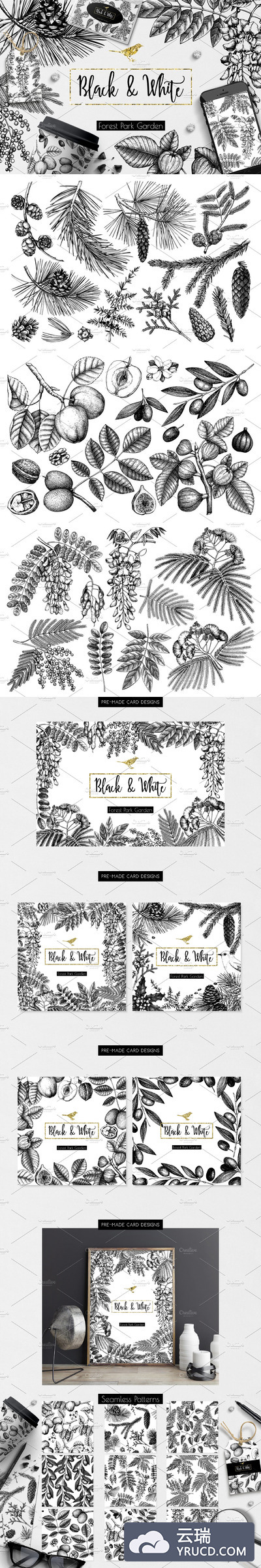 黑白植物插画素描素材 Black Vector Trees Collection