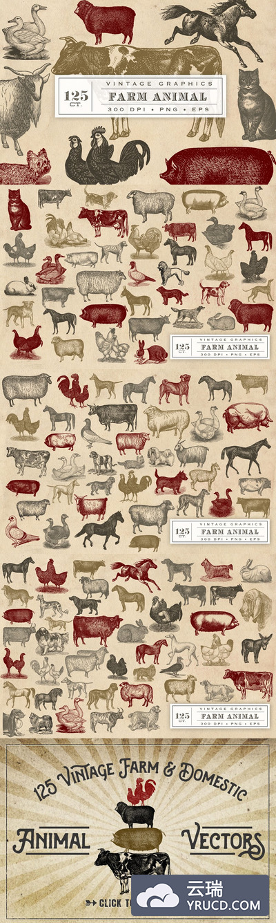 经典的动物矢量图形 Vintage Farm Animal Vector Graphics