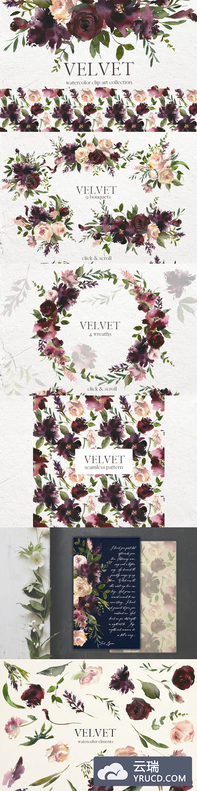 水彩图形素材 Velvet - Watercolor Floral Clip Art