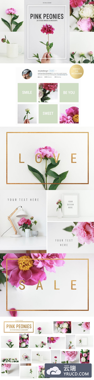 简单的照片样机 Pink peonies stock & mockups