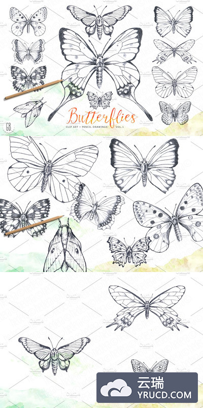 蝴蝶铅笔画素材 Butterflies, pencil hand drawn