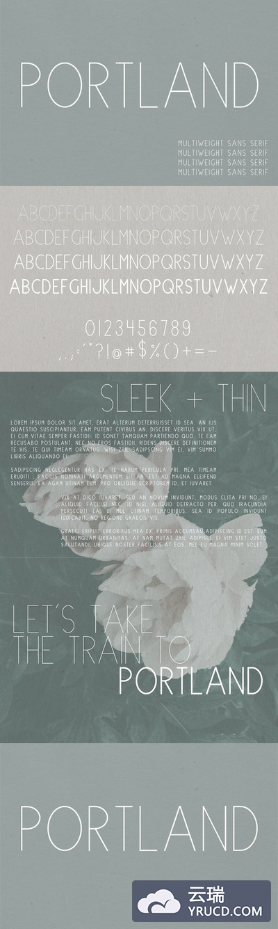 时尚的多种粗细的字体 Portland | Multi-Weight Font