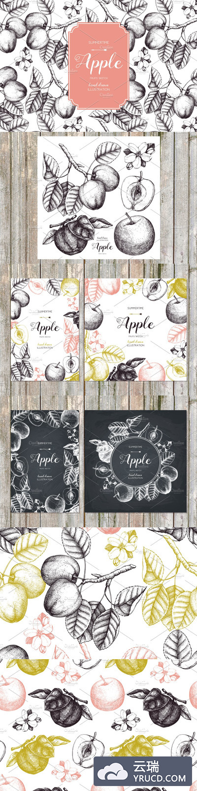 矢量苹果树插图 Vector Apple Trees Illustrations