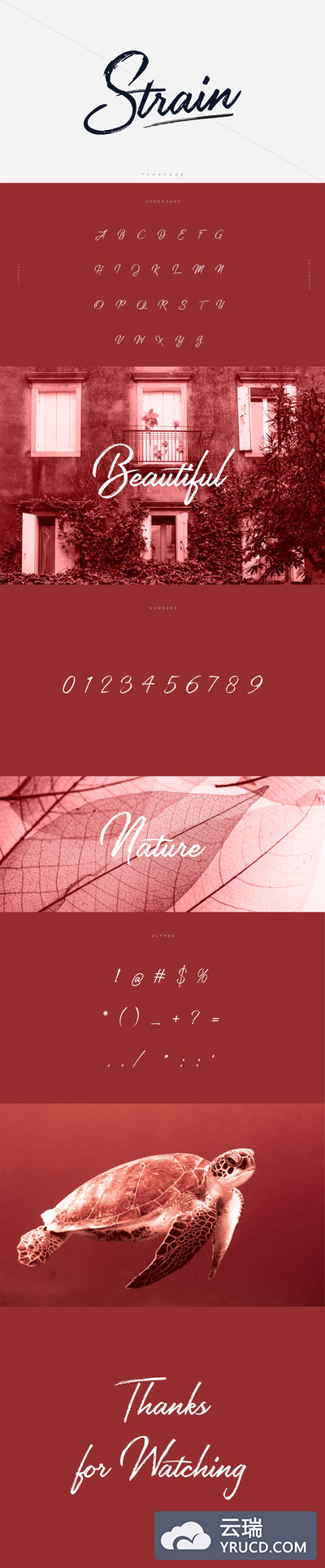 高端高品质的时尚中国风书法字体Strain下载