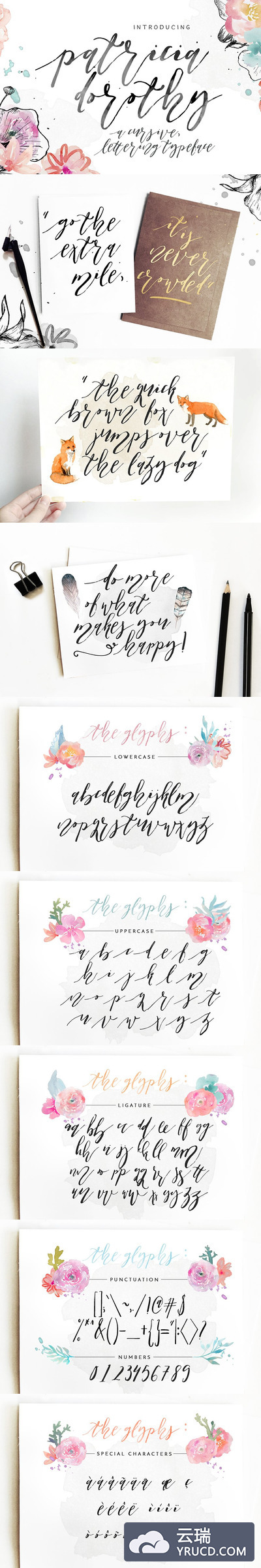 流畅的手写字体 Patricia Dorothy Script