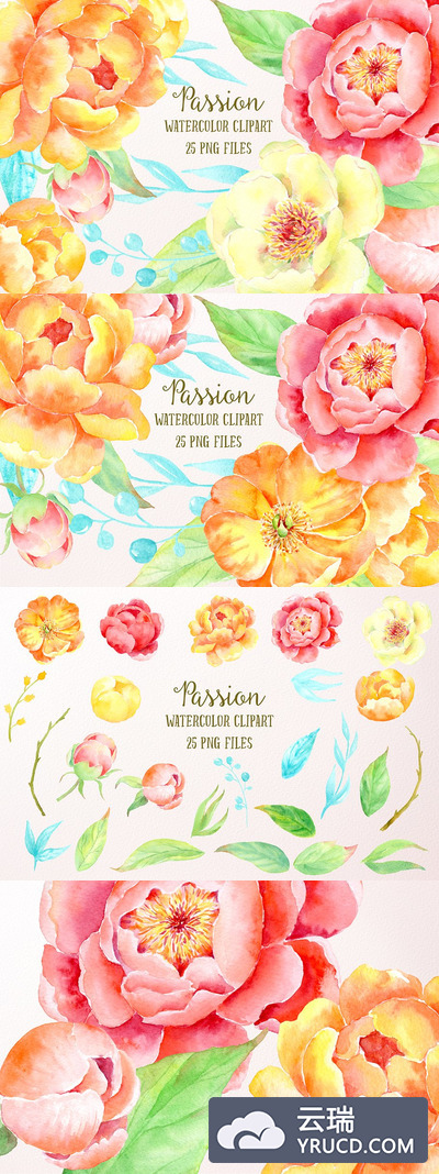 水彩花卉素材 Watercolor Clipart Peony Passion