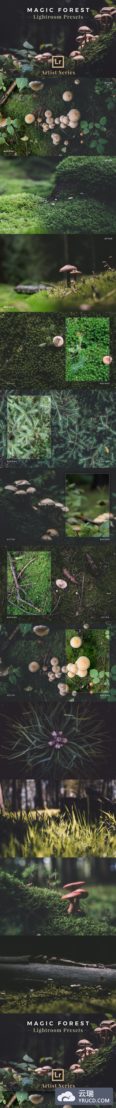 魔幻效果的LR预设文件 Magic Forest, Lightroom Presets