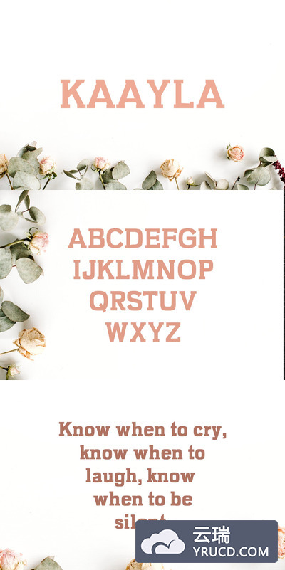 漂亮百搭字体 Kaayla Slab Serif 4 Font Pack