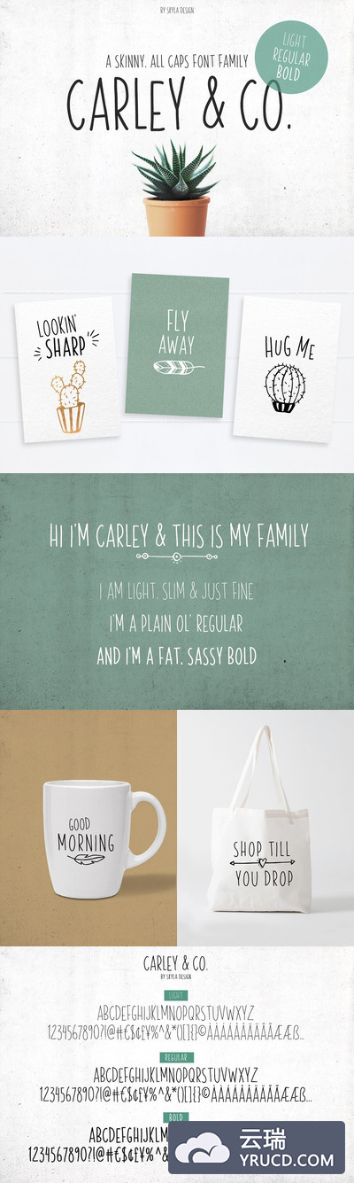 清新文艺的字体 Carley & Co. Skinny Font family