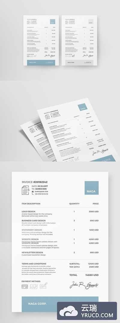 选票模版 Naga - Invoice Template