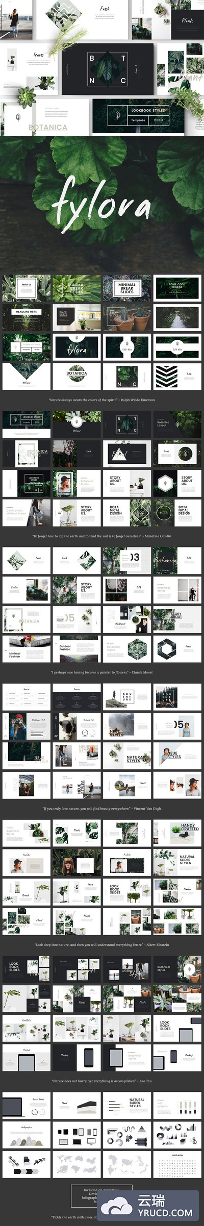 设计感很强的主题演示模板 FYLORA Lookbook Keynote Template