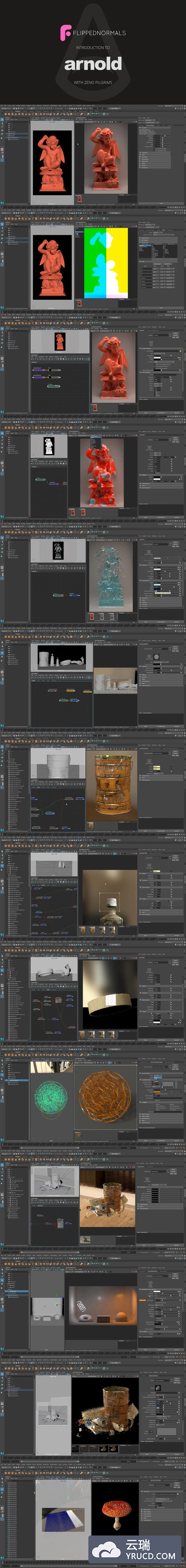 FlippedNormals Arnold 简介
