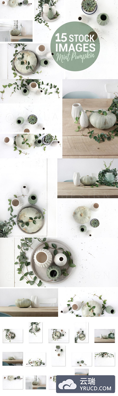 薄荷南瓜，风格​​的照片 Mint pumpkin, Styled stock photos