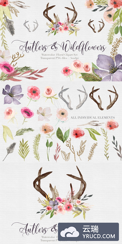 水彩花卉素材 Antlers & flowers Watercolor Clipart