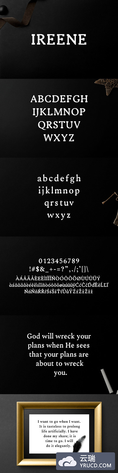 衬线字体 Ireene Serif 3 Font Family Pack