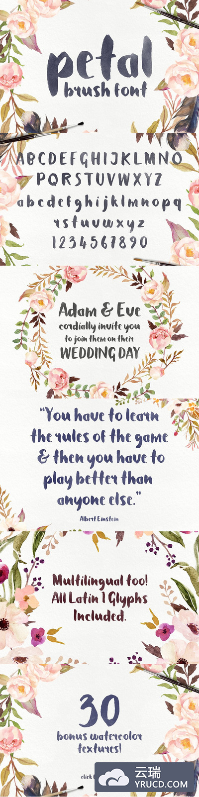 水墨毛笔字体 Petal - Brush Font