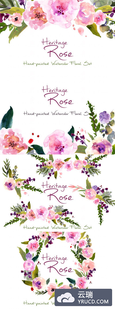 水彩玫瑰花 Heritage Rose- Watercolor Clip Art