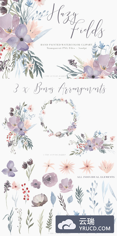 水彩花卉插图 Watercolor Floral Clipart - Hazy