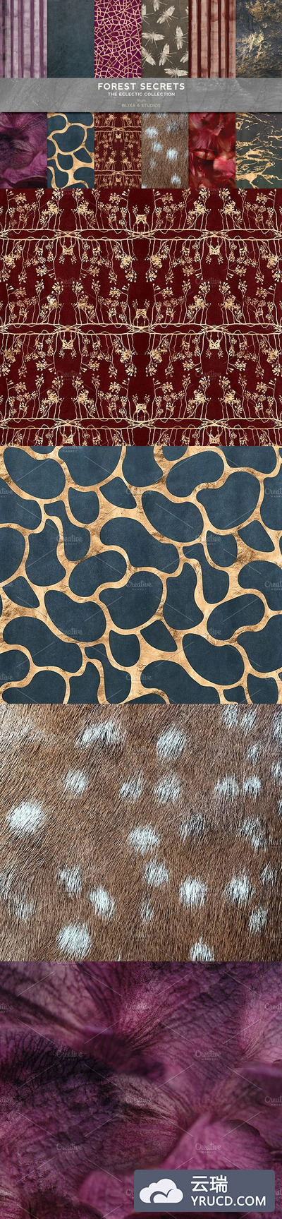 森林秘密林背景纹理素材 Forest Secrets Woodland Collection