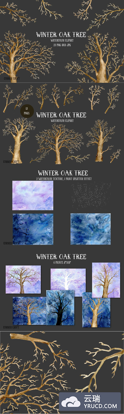 水彩冬天橡树图形 Watercolor Winter Oak Trees