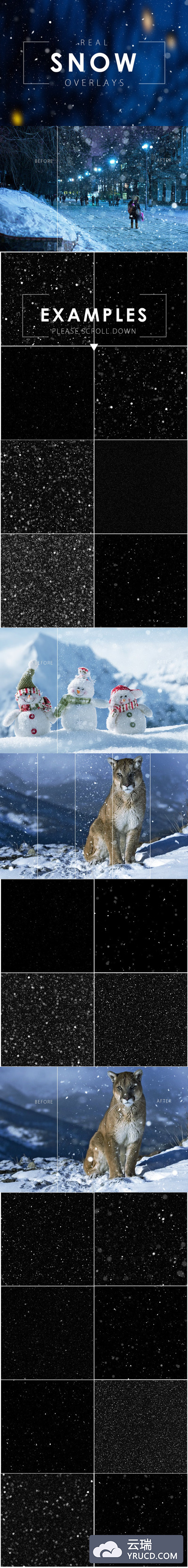 高品质的大雪飞舞叠加纹理集合