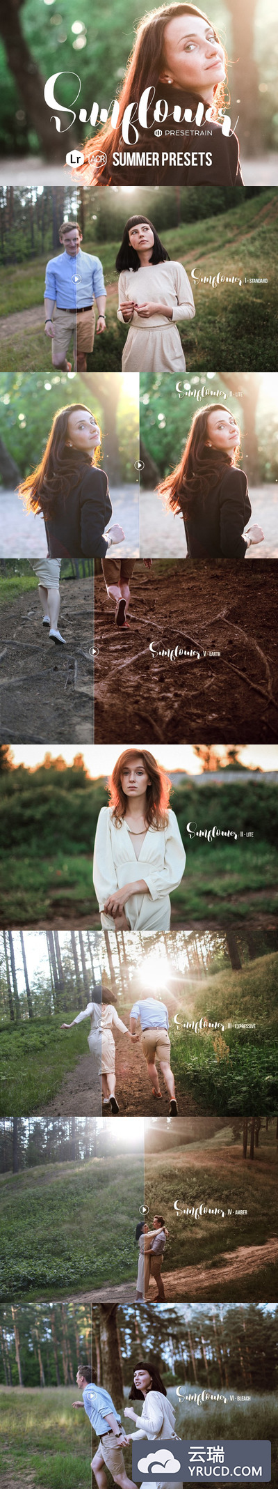 向日葵夏季预设LR和ACR Sunflower Summer Presets LR & ACR