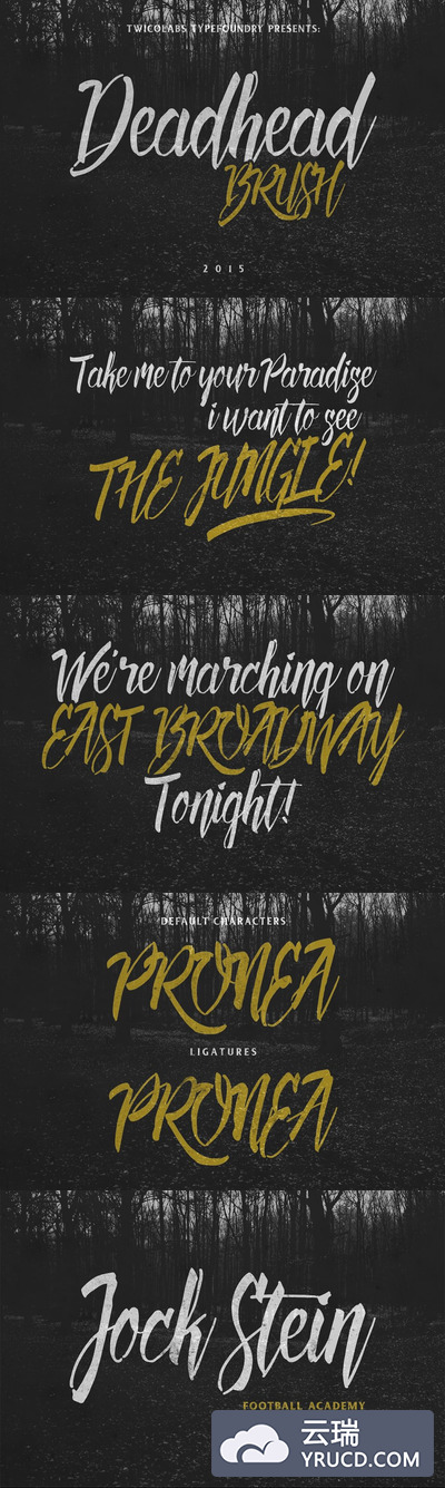 流畅的手写字体 Deadhead Brush