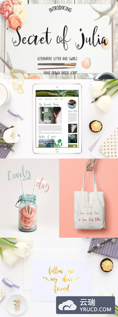 朱莉娅的秘密脚本字体 Secret of Julia Script Font