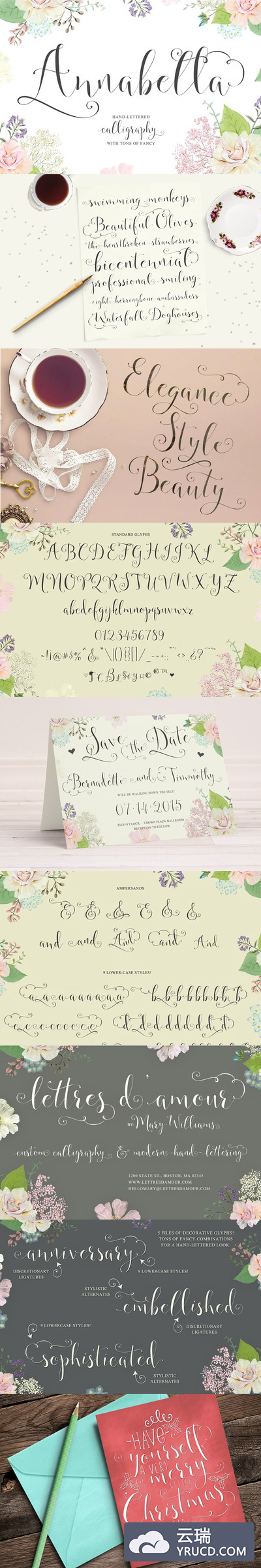 安娜贝拉书法脚本字体 Annabella Calligraphy Script