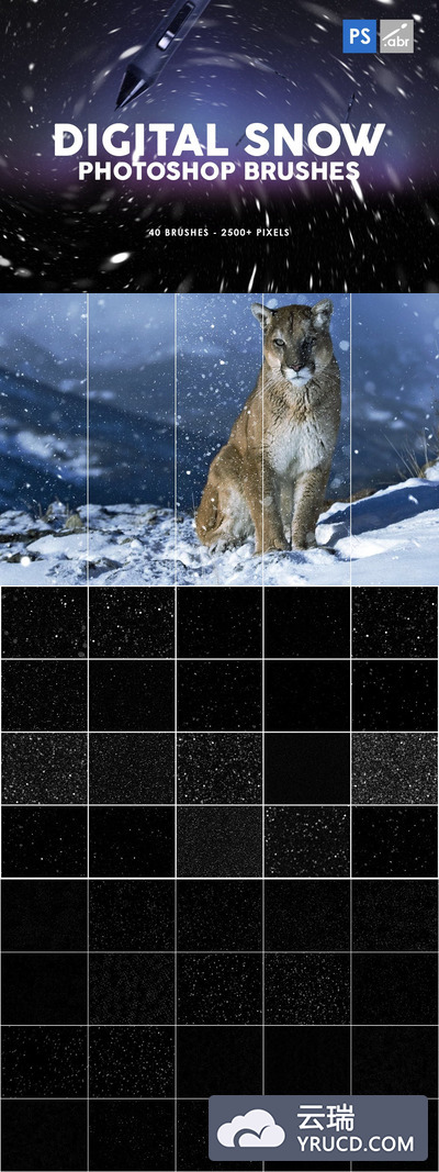 高品质的雪花飞舞photoshop笔刷集合
