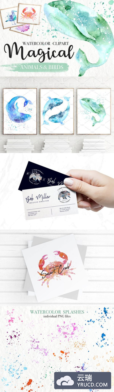水彩 | 高分辨率手绘魔法动物鲸鱼海鸥螃蟹凤凰插图飞溅肌理