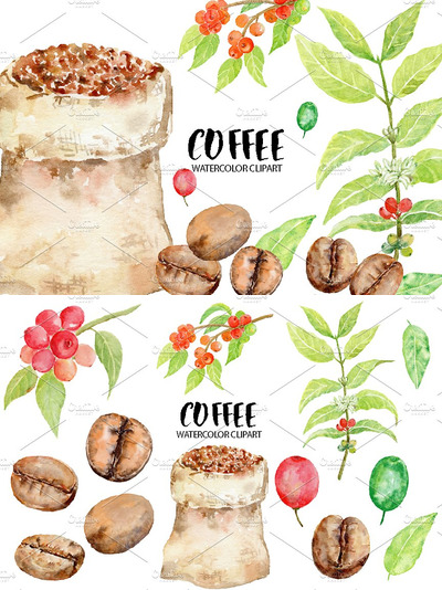 水彩咖啡豆素材 Watercolor Coffee Beans Clipart