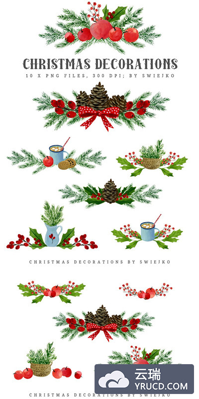 圣诞节花卉插画图形 Christmas Clip art, bouquet