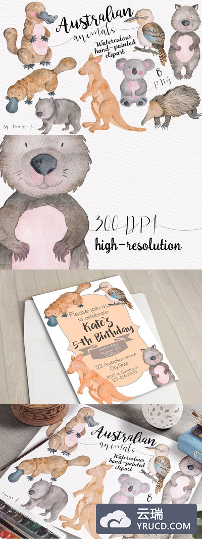 澳大利亚水彩动物集 Australian Watercolor Animals Set