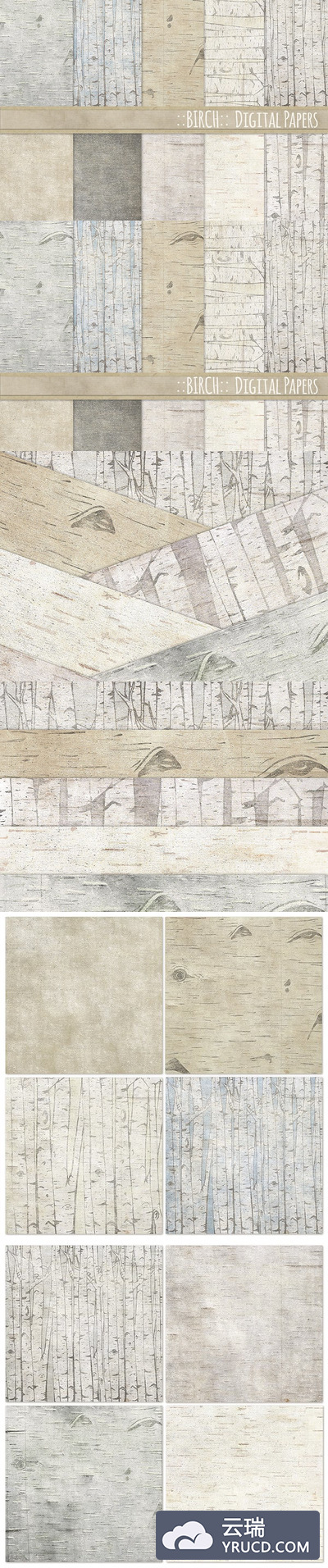 桦木背景纸 Birch Wood Background Paper