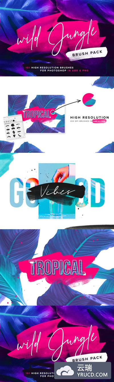 笔刷 | 野生丛林101款高品质高分辨率水墨笔触画笔PS笔刷(含有ABR）