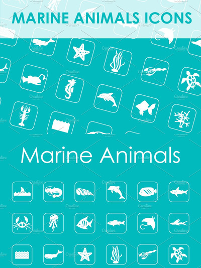 海洋动物简单的图标 Set of marine animals simple icons