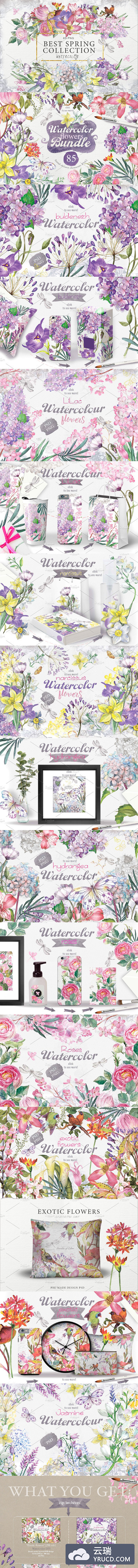 最好的春天花 BEST SPRING FLOWERS