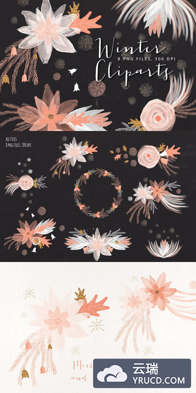 冬季花卉图形 Winter Floral Cliparts