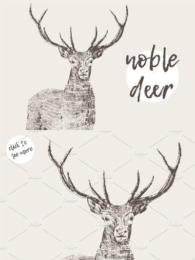 一头高尚的鹿插画 Illustration of a noble deer