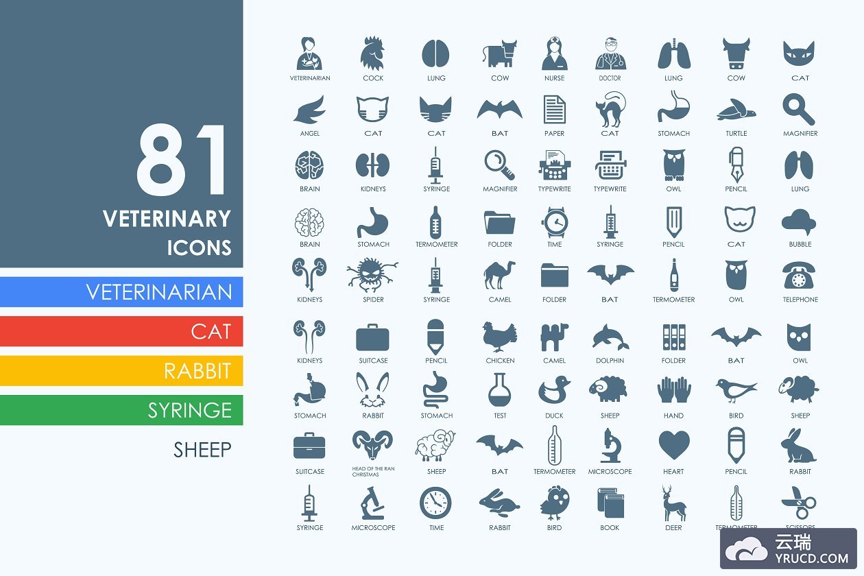 81个兽医图标 81 veterinary icons