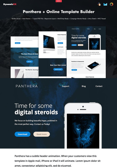 产品网站模板下载 Panthera + Online Template Builder